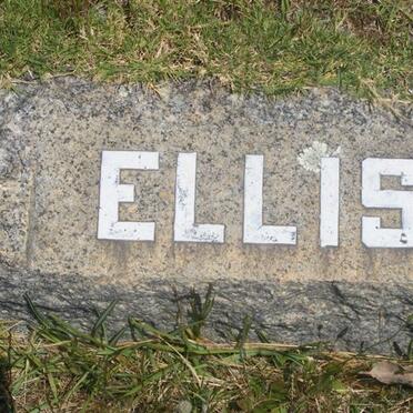 ELLIS