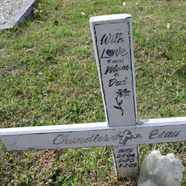 ESAU Chandler 2004-2005