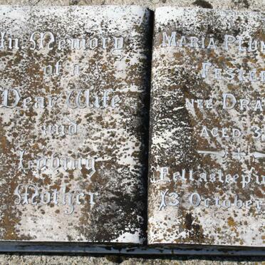 FESTER Maria Plunkett nee DRAKE -1918