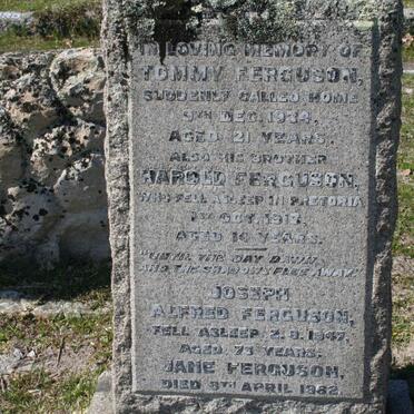 FERGUSON Joseph Alfred -1947 &amp; Jane -1962 :: FERGUSON Harold -1917 :: FERGUSON Tommy -1934
