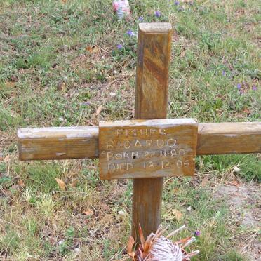 FISHER Ricardo 1980-2006