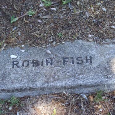 FISH Robin