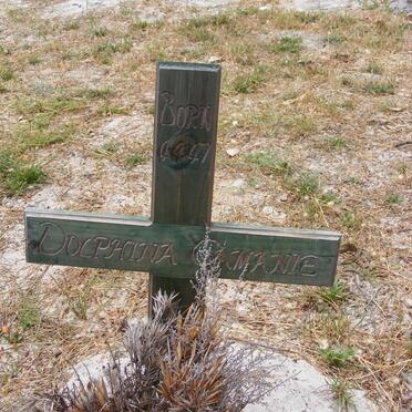 GAMANIE Dolphina 1947-