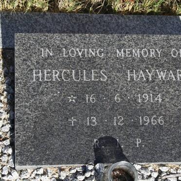 HAYWARD Hercules 1914-1966