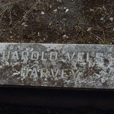 HARVEY Harold Vels