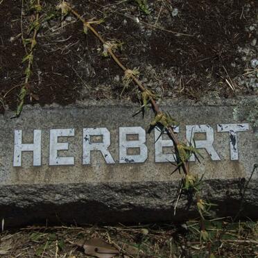 HERBERT ?