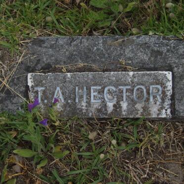 HECTOR T.A.