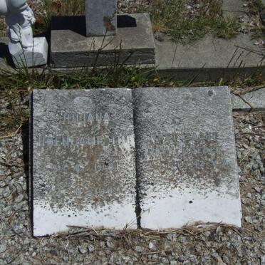 HOENCAMP Juliana Tim 1881-1963