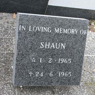 HUTTON Shaun 1965-1965