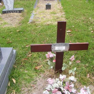 JASSON Arnold 1938-2006