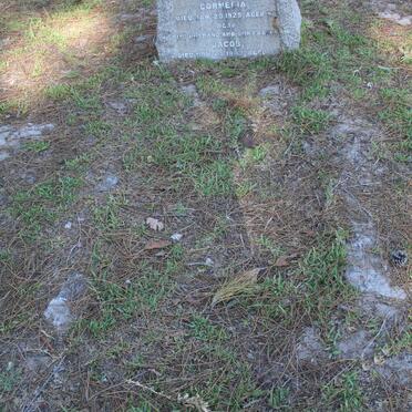 JACOBS Jacob -1947 :: JACOBS Cornelia -1925