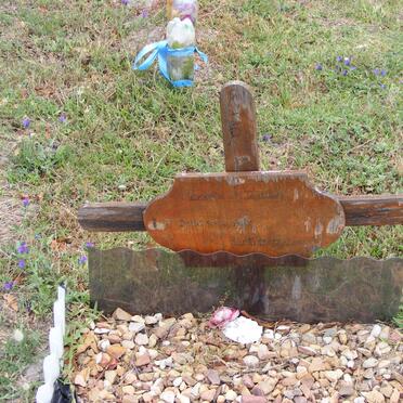 JOHNSON Dennis -2006