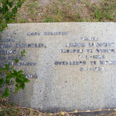 LOOPUYT Jacob 1865-1957