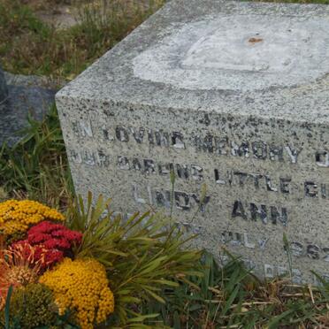 MARITZ Lindy Ann 1962-