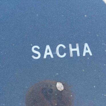 MEYER Sacha