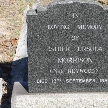 MORRISON Esther Ursula nee HEYWOOD -1966