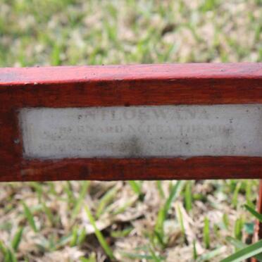 Nf - Surnames starting with the letters Nf