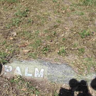PALM ?