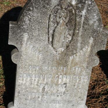 PAULSE Johannes Cornieles 1913-1919