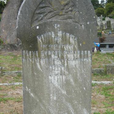 PURCHASE Steve George -1929