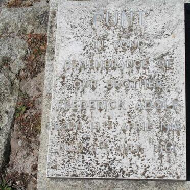 Pu - Surnames starting with the letters Pu