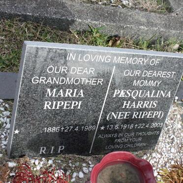 RIPEPI Maria 1886-1969 :: HARRIS Pæsqualina nee RIPEPI 1918-2003 
