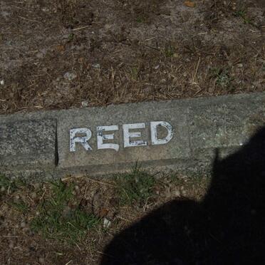 REED ?