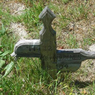 REENEN M.E., van -2004