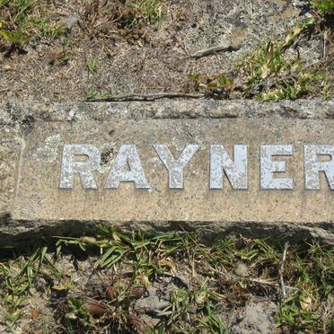 RAYNER