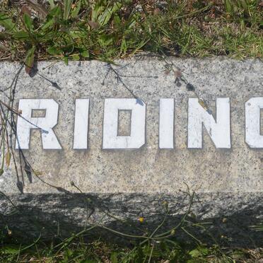 RIDING ?