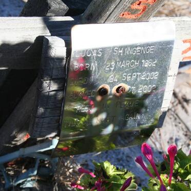 SHINGENGE Lucas 1962-2002