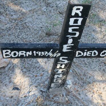 SHINGE? Rosie 1937-2003