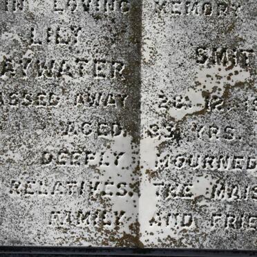 SMITH Lily Baywater -1963