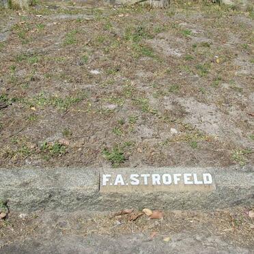 STROFELD F.A.