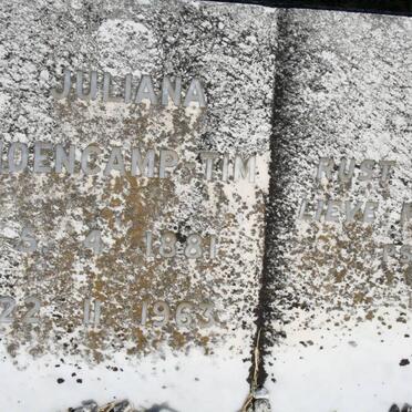 TIM Juliana, HOENKAMP 1881-1963