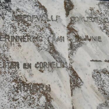 VIVIERS Cornelius -1962 &amp; Hester -1962