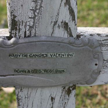 VALENTINE Baby 2005-2005