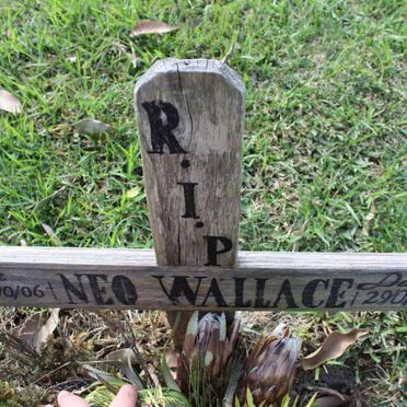 WALLACE Neo 2006-2007