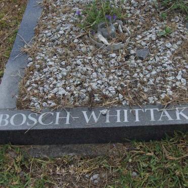 WHITTAKER, BOSCH