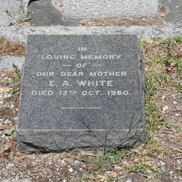WHITE E.A. -1960