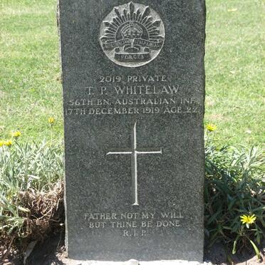 WHITELAW T.P. -1919
