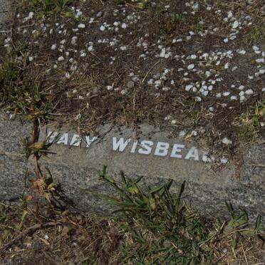 WISBEA?