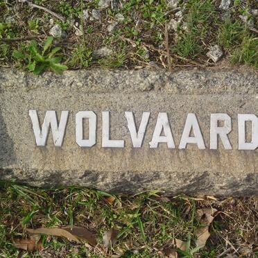 WOLVAARD Petrus Francois 1924-1951