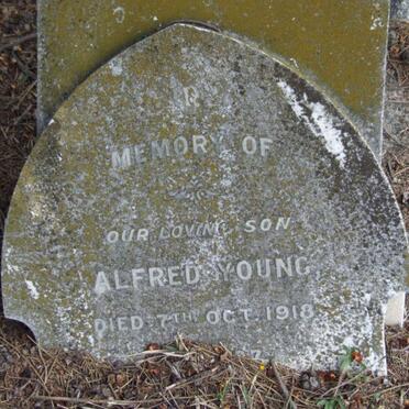 YOUNG Alfred -1918