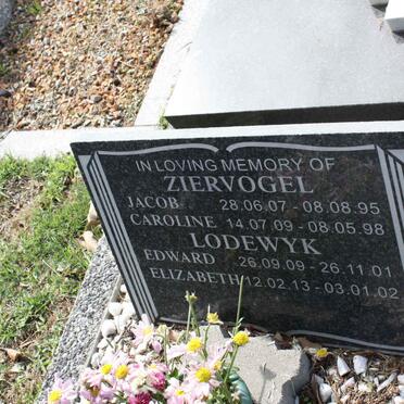 Zi - Surnames starting with the letters Zi