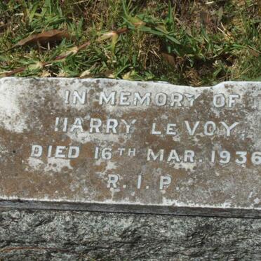 VOY Harry, le -1936
