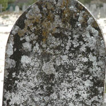 H - Vanne :: Surnames - H