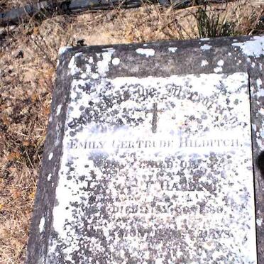 HARDING Emile Gertrude Hilditch -1889