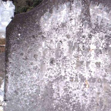 WILLIAMS  C.G. -1908