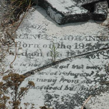 R??? Frances Johanna